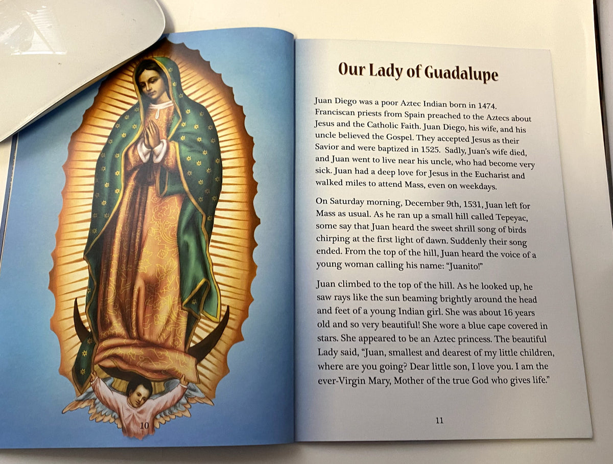 Paperback book titled "The Apparitions of Mary" by Bob and Penny Lord, featuring religious Christian spirituality, new condition.