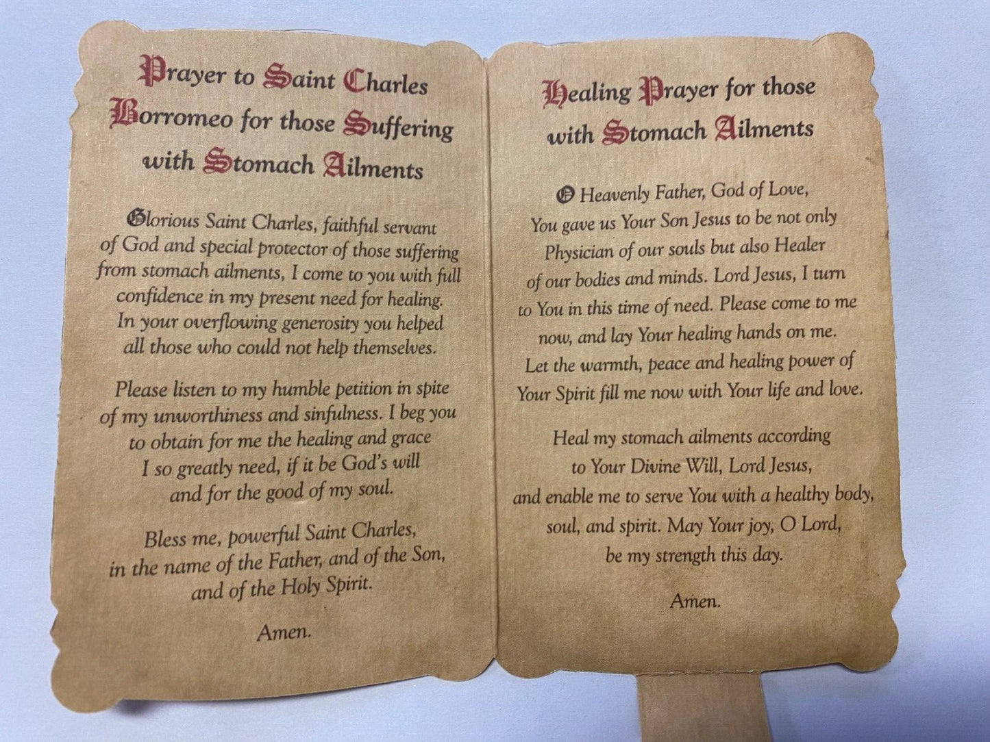 Saint Charles Borromeo prayer card and medal from Bob and Penny Lord, featuring religious imagery and detailed design.