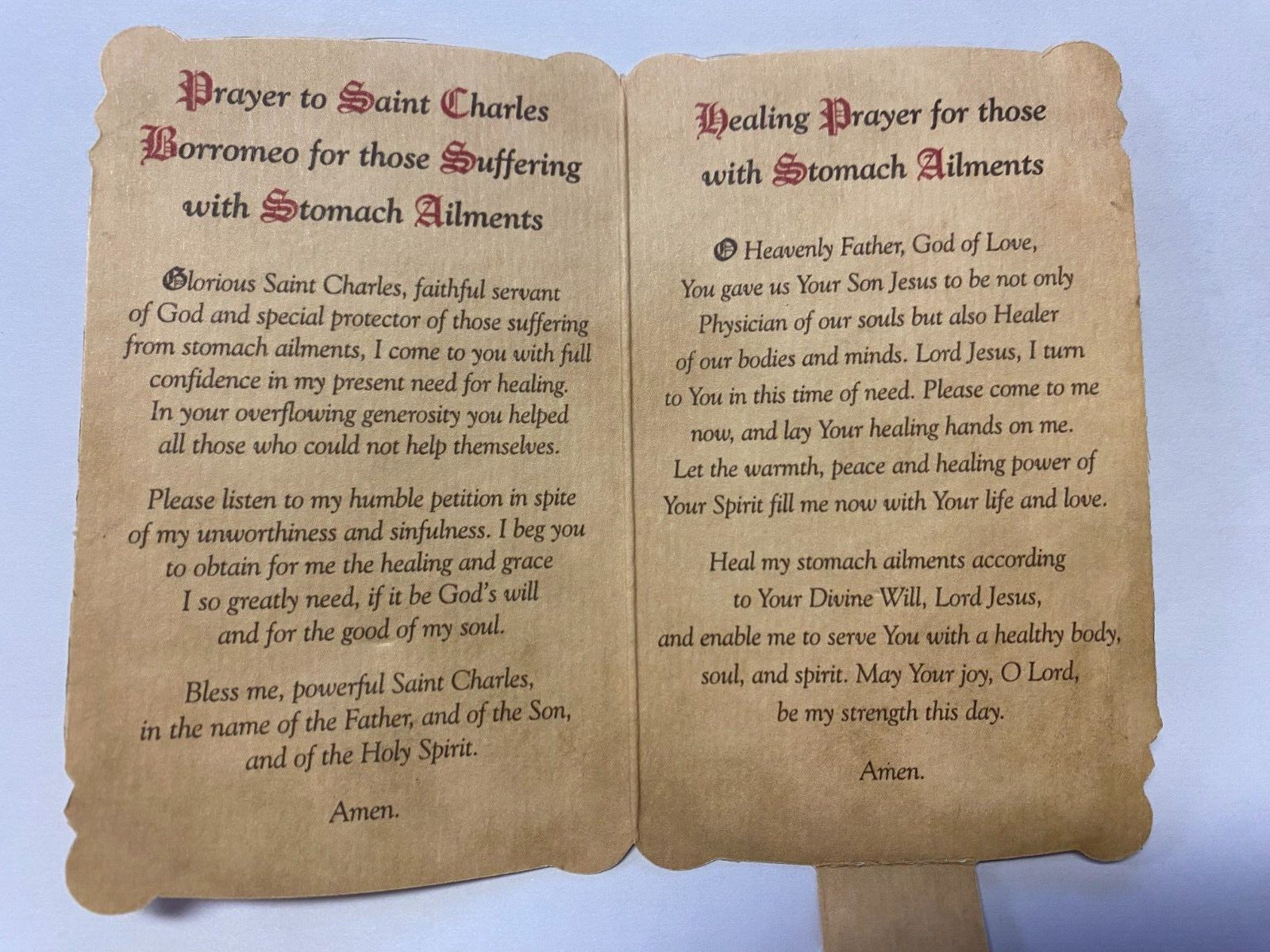 Saint Charles Borromeo prayer card and medal from Bob and Penny Lord, featuring religious imagery and detailed design.