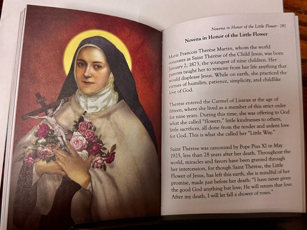 Treasured Novenas Hardcover Book, 240 pgs. New, # NO-07 - Journeys of Faith