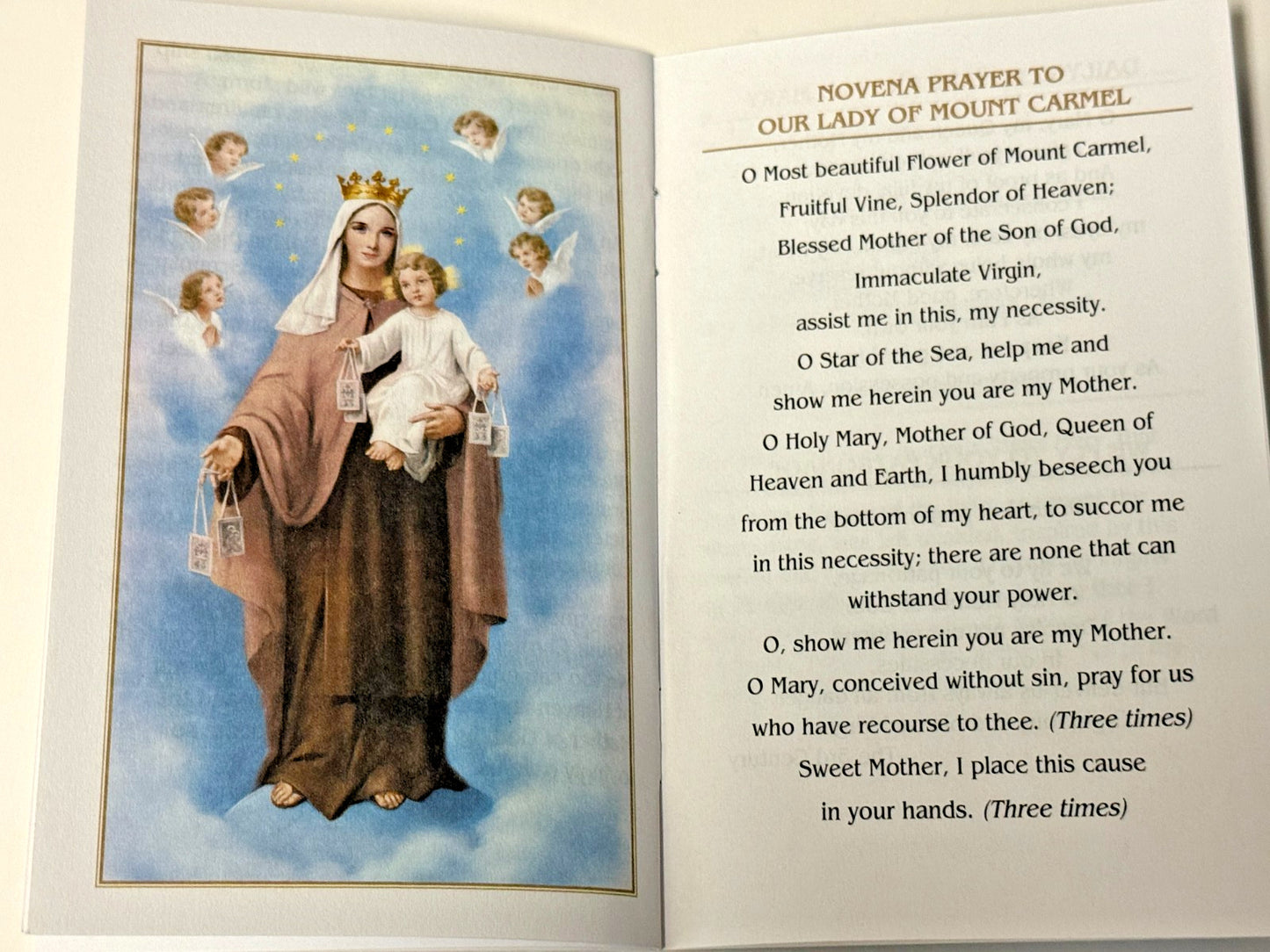 The Brown Scapular Booklet, New #Gftshp-196