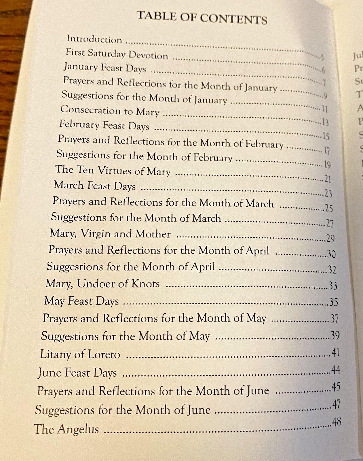 Though the Year with Mary Booklet, New #AB-326-R2 - Journeys of Faith