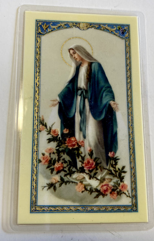 Our Lady of Grace"My Queen,My Mother" Laminated Prayer Card, New #PCL-50