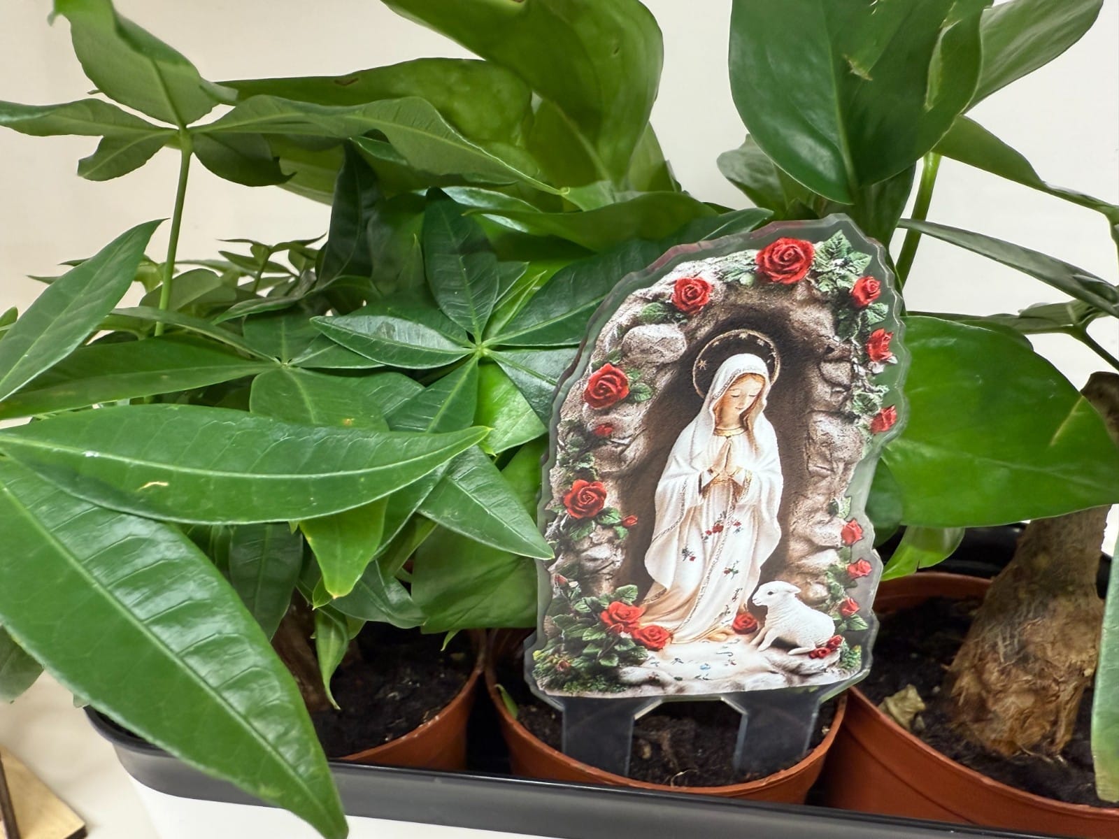 O. L. of Lourdes Acrylic Garden Stake, New #ALM-025-R2 Journeys of Faith Collectibles:Religion & Spirituality:Christianity:Posters, Prints & Pictures