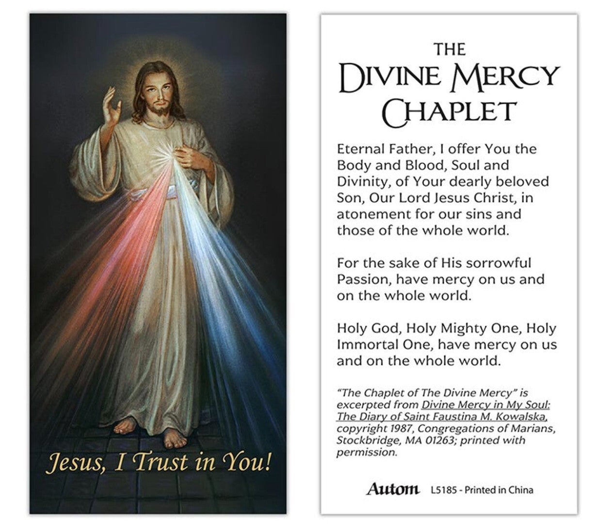 Divine Mercy prayer card with medal on 20-inch chain, religious Christian collectible by Bob and Penny Lord, featuring sacred imagery.