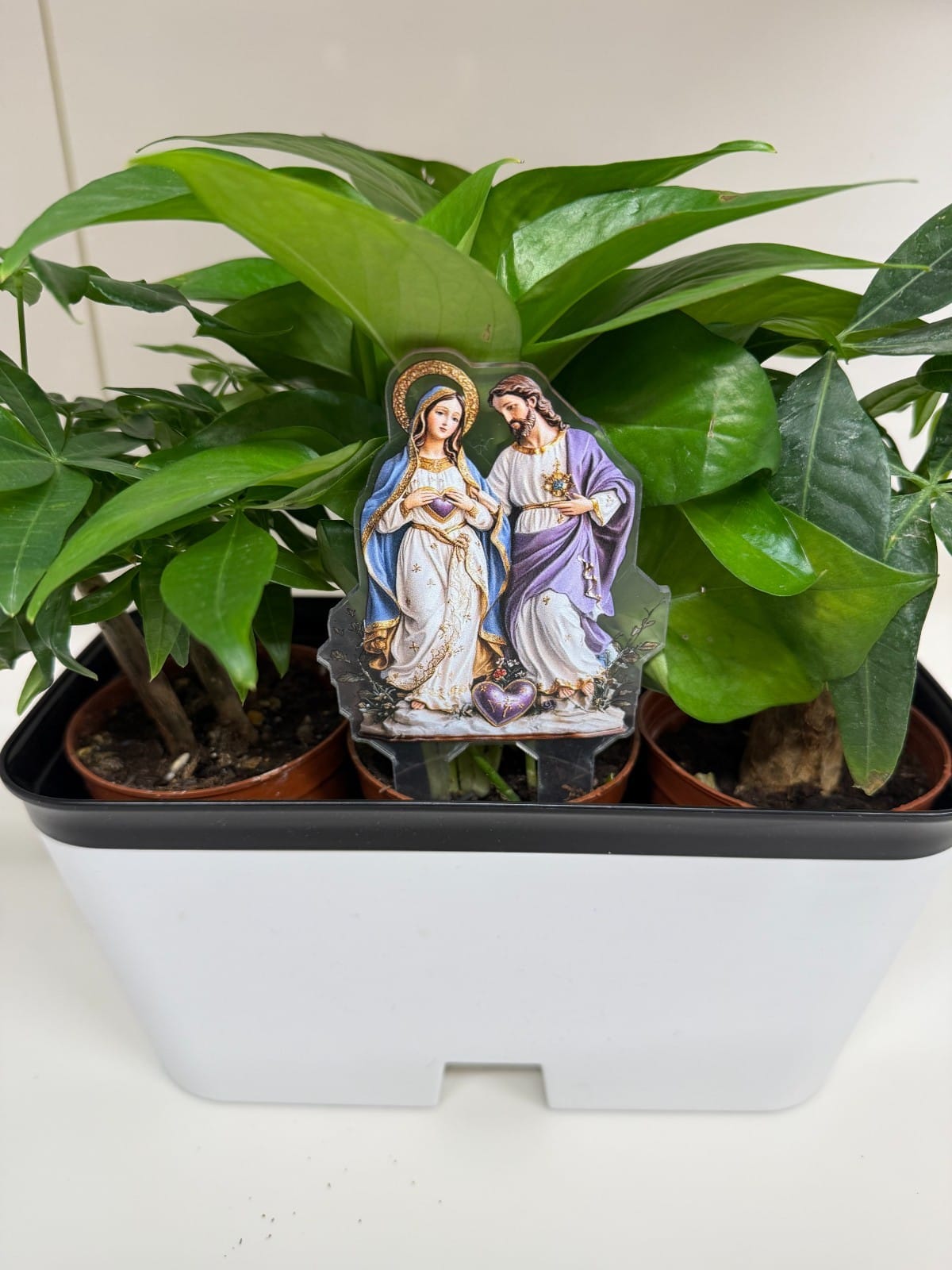 Sacred Hearts of Jesus & Mary Acrylic Garden Stake, New #ALM-028-R2 Journeys of Faith Collectibles:Religion & Spirituality:Christianity:Posters, Prints & Pictures