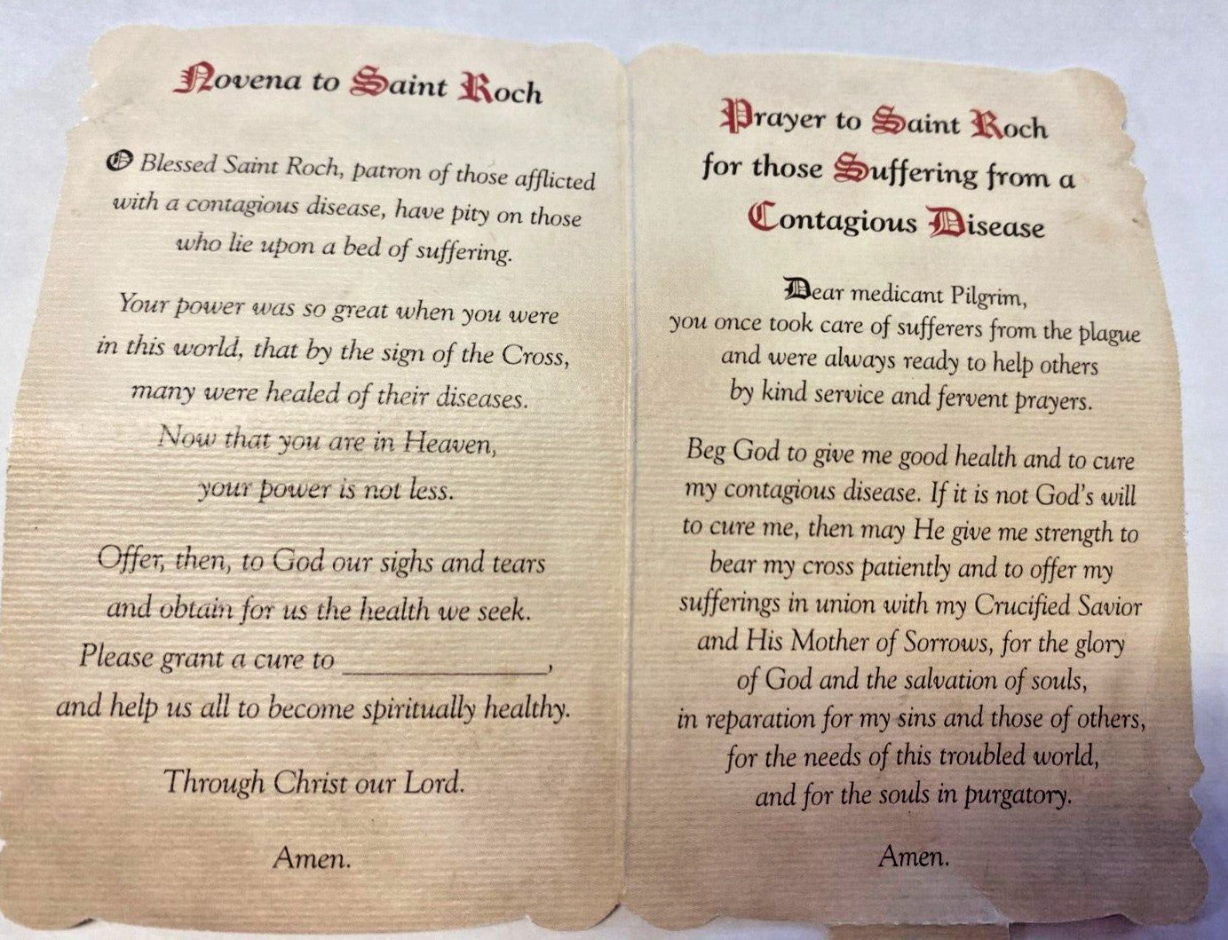 Saint Roch ( Patron of Plagues) Prayer Card + Medal, New #PCM-027