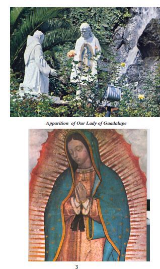 Our Lady of Guadalupe Pamphlet/Minibook, by Bob and Penny Lord, New - Journeys of Faith