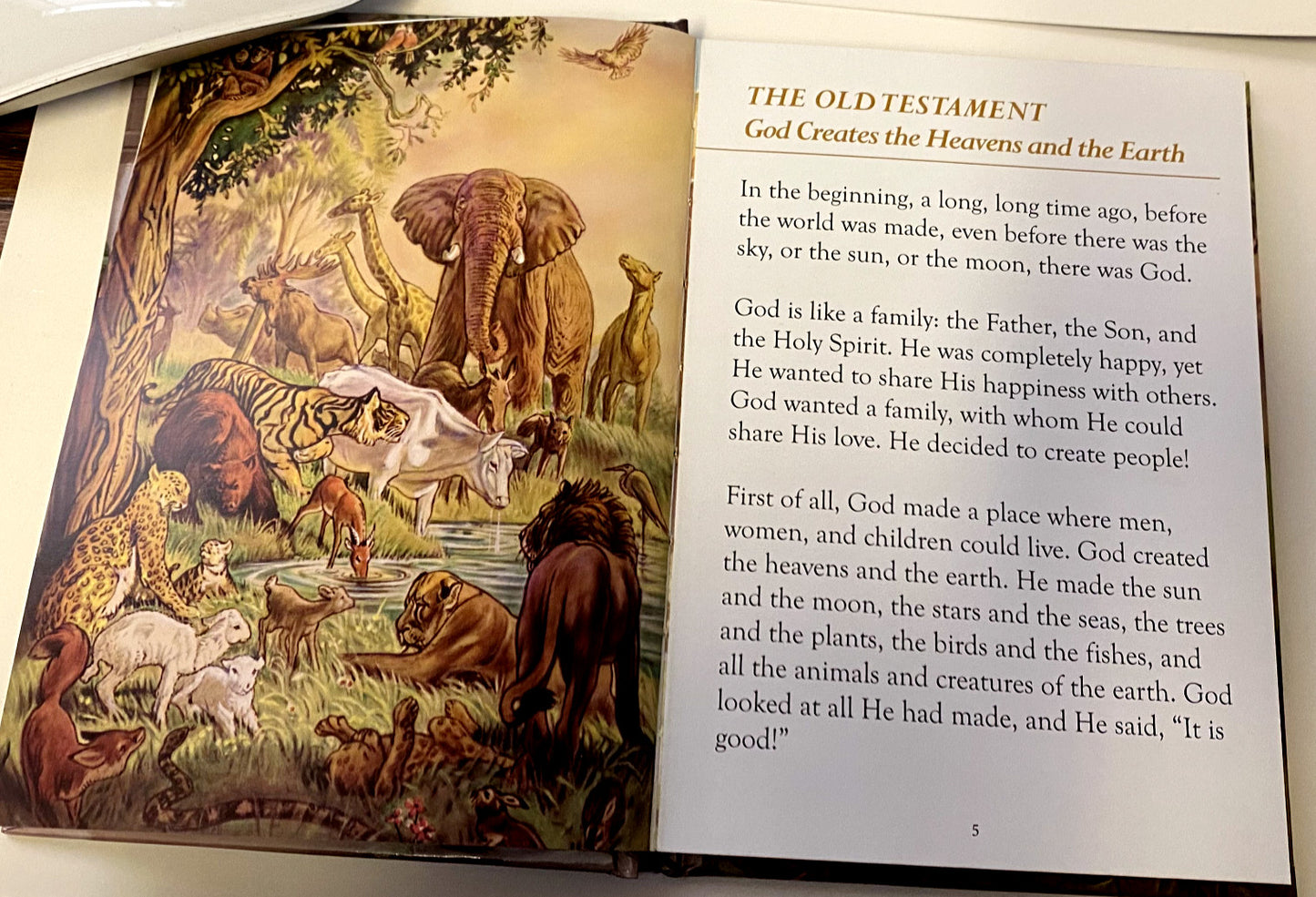 Children's First Bible Hardcover Book, New #Gftshp-180