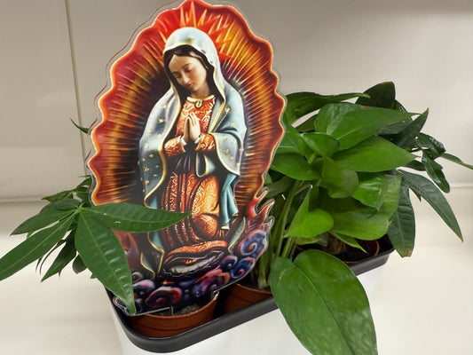 Our Lady of Guadalupe Acrylic Garden Stake, New #ALM-024-R2 - Journeys of Faith