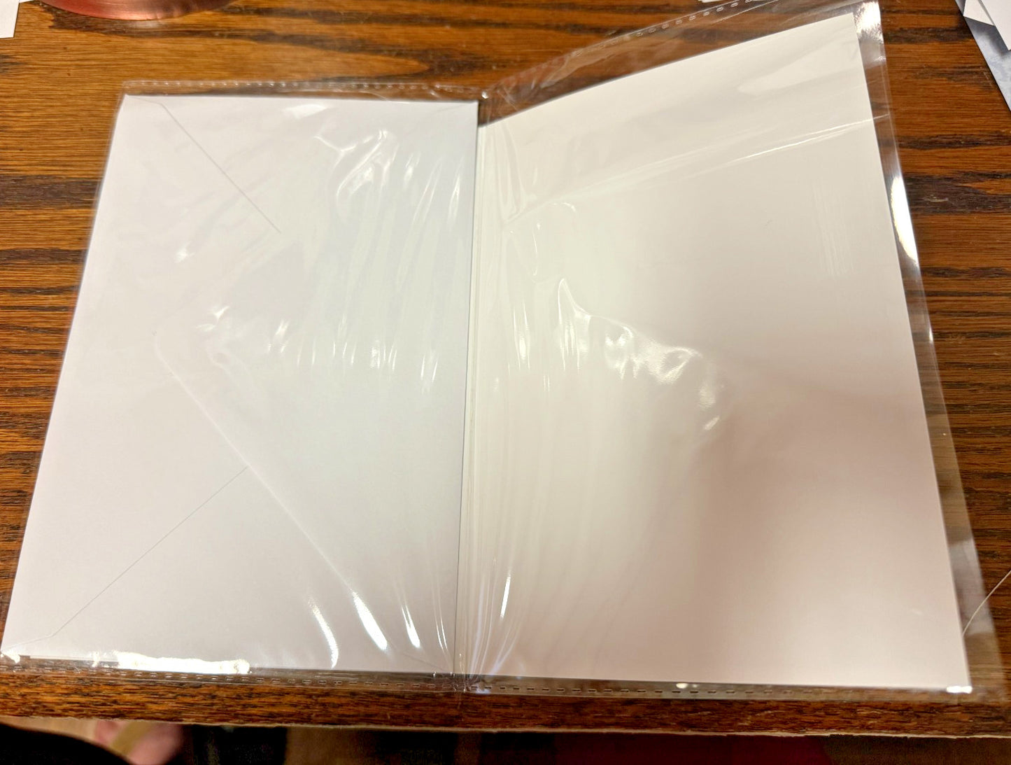 Madonna Blank Note Card w/envelope, New #AB-393-R2 - Journeys of Faith