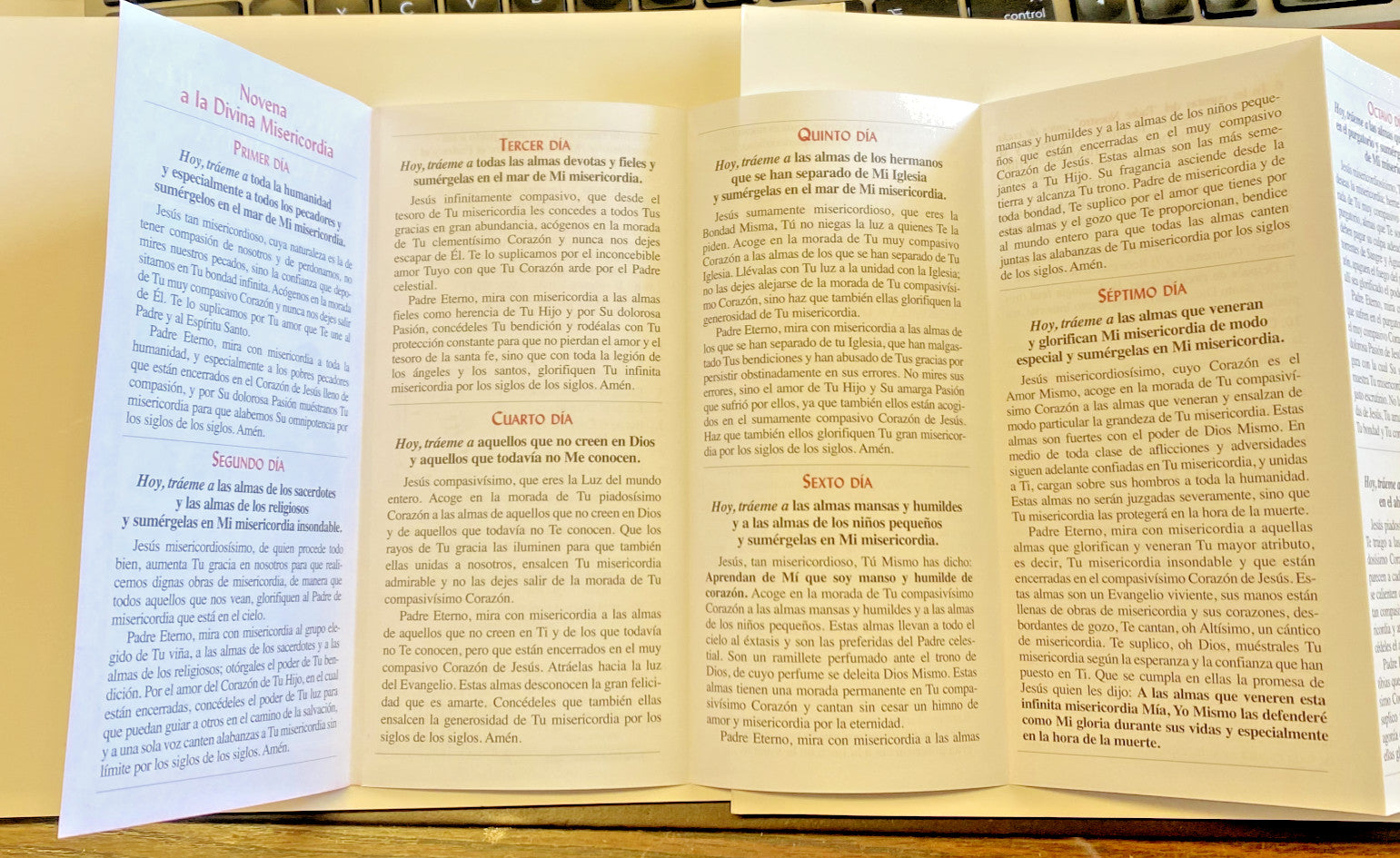 Novena y Coronilla a la Divina Misericordia, Folleto en Español - Journeys of Faith