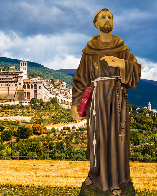 Saint Francis of Assisi 8 by 10 Image Download New - Journeys of Faith