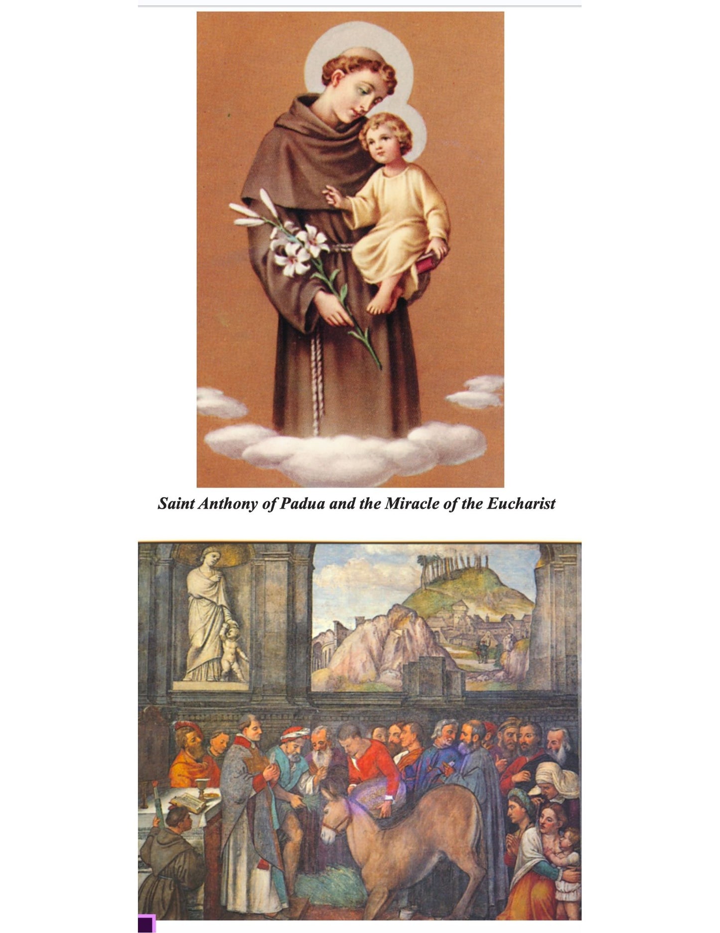 Saint Anthony of Padua Minibook