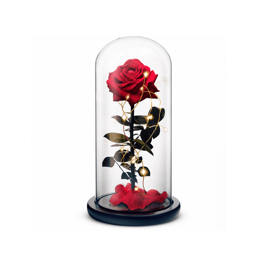 Beauty and The Beast Rose (Red) - Journeys of Faith