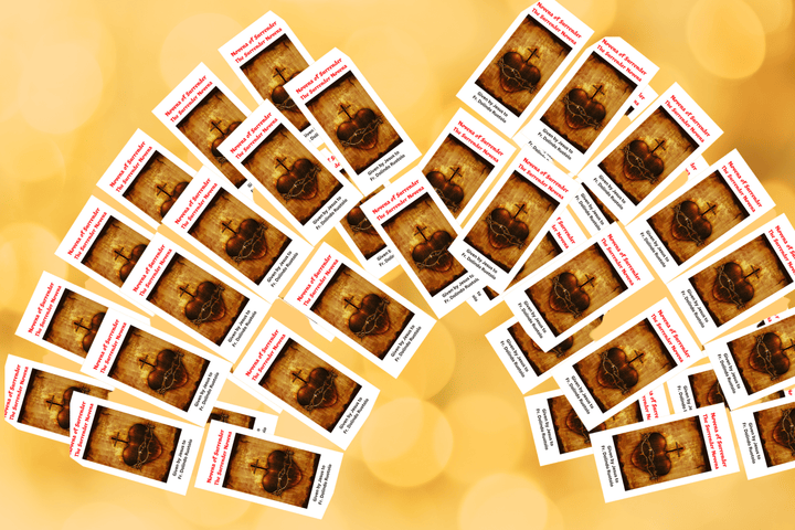 Set of 50 Surrender Novena Prayer Cards by Bob and Penny Lord Ministry, featuring religious prayers and designs.