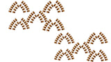 1×