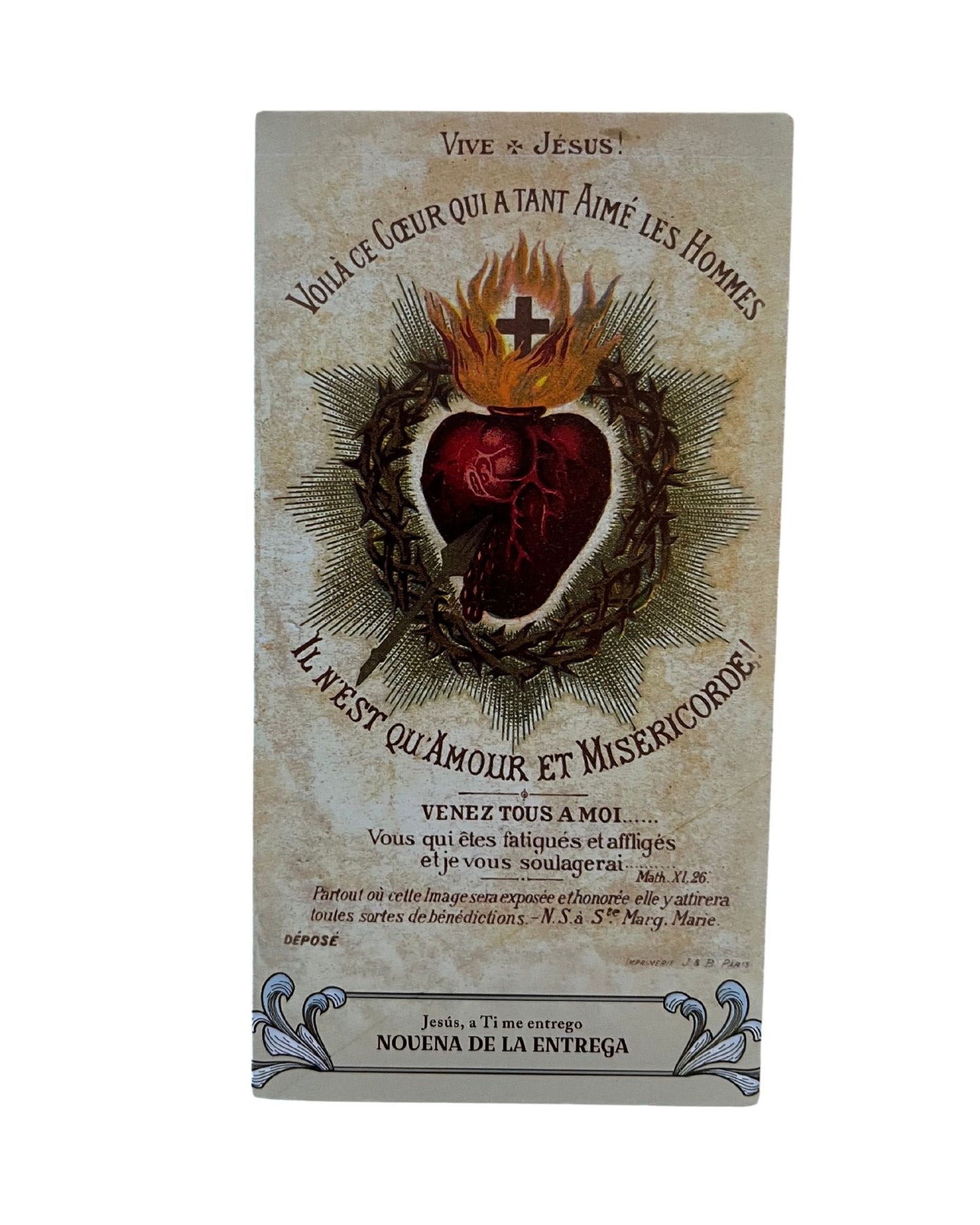 5Pack Spanish Novena of Surrender to the Will of God Trifold Holy Card - Bob and Penny Lord