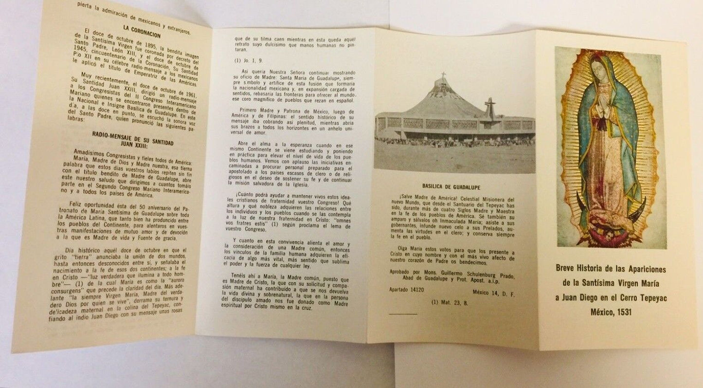 Breve Historia de las Apariciones de La Virgen de Guadalupe, en Español - Bob and Penny Lord
