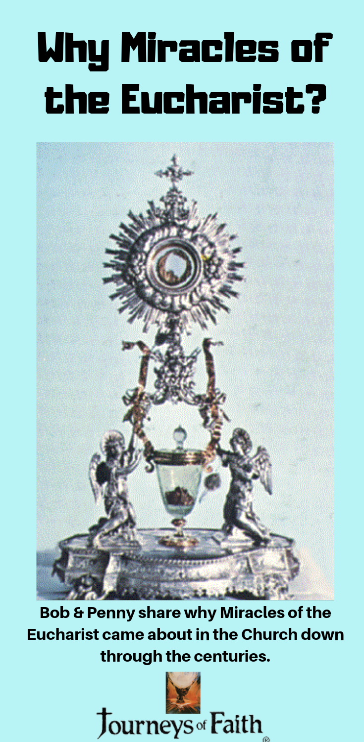 Miracles of the Eucharist Complete Series of 13 DVDS Discounted Bundle - Bob and Penny Lord