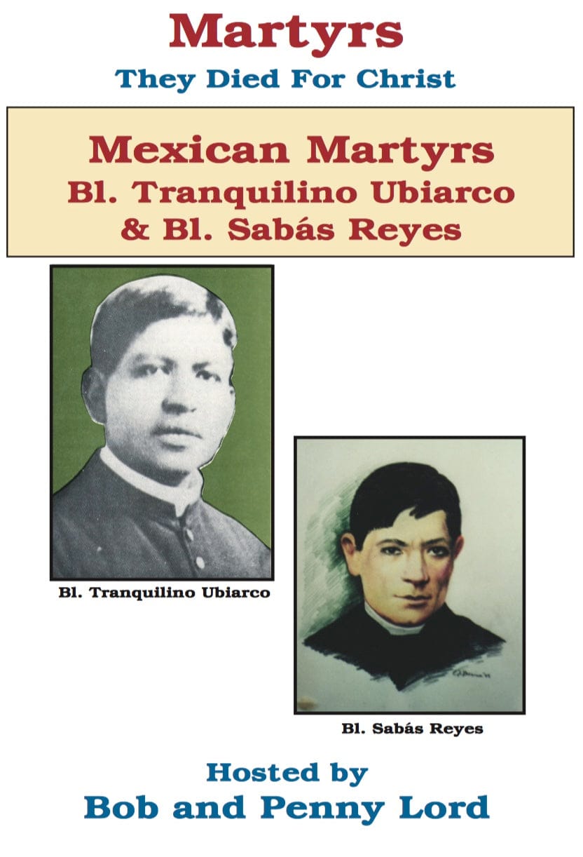 DVD titled "Beatification of the Mexican Martyrs" by Bob and Penny Lord Ministry, featuring a cover image with religious artwork.
