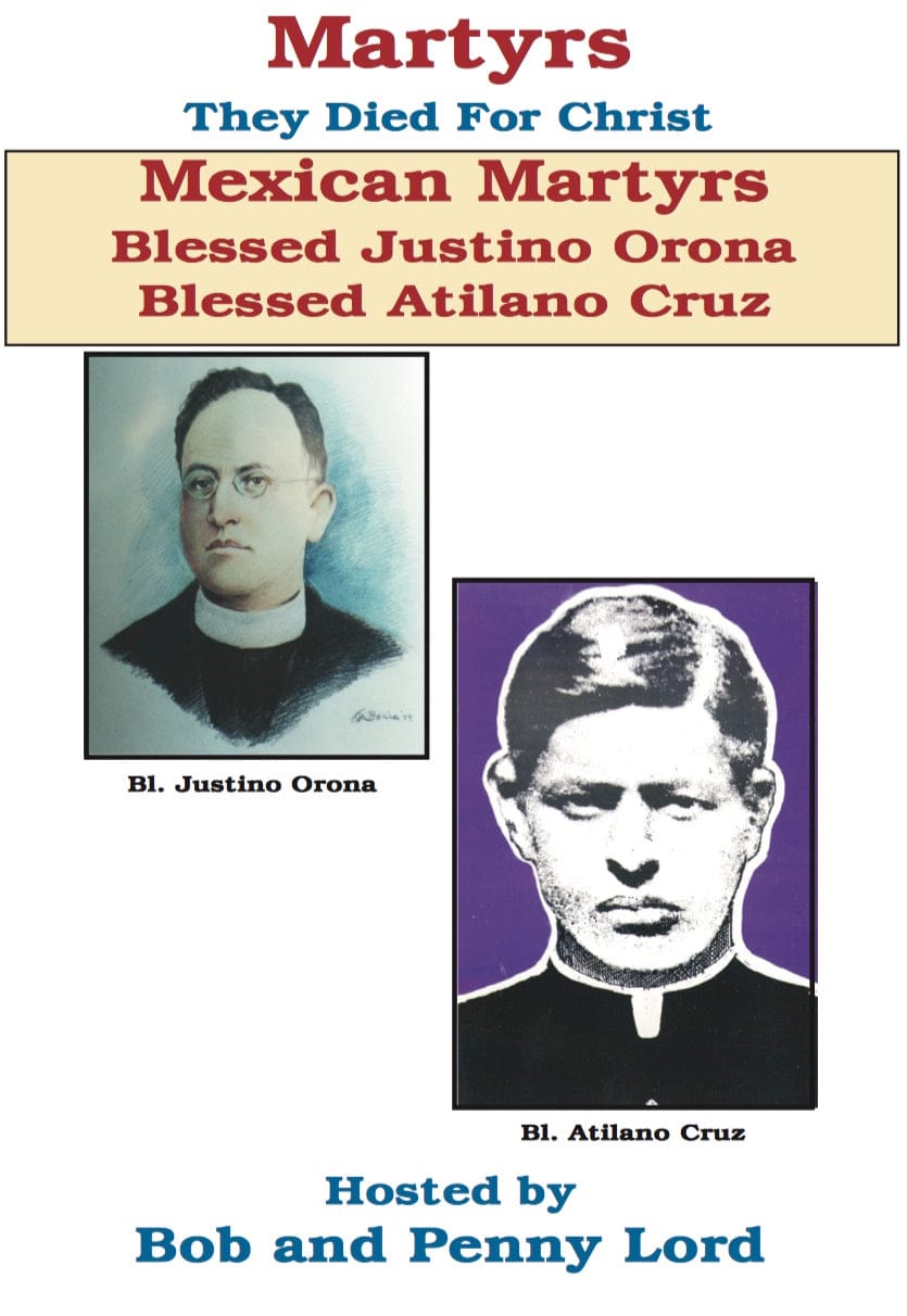 DVD titled "Beatification of the Mexican Martyrs" by Bob and Penny Lord Ministry, featuring cover art with religious imagery.