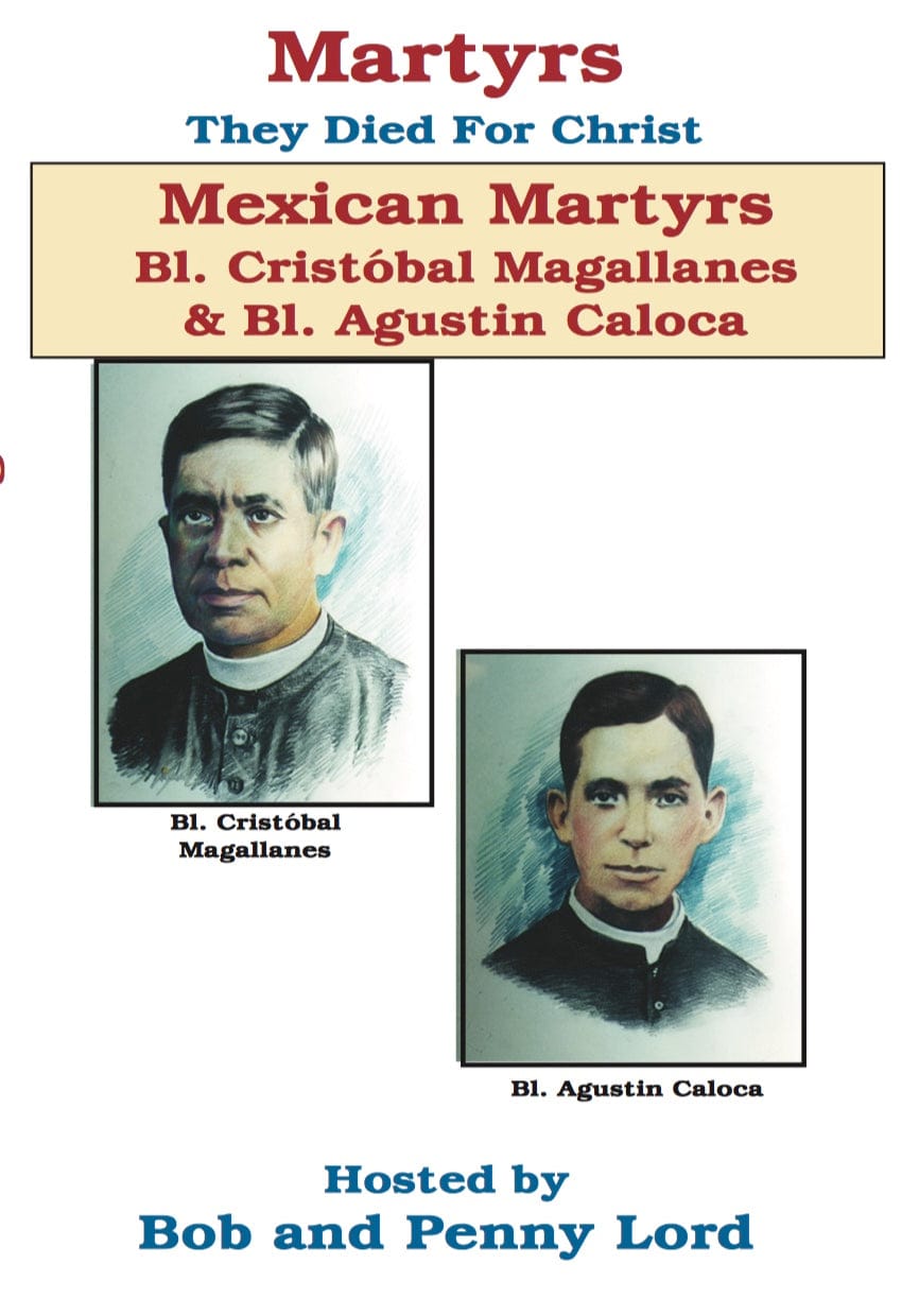 DVD titled "Beatification of the Mexican Martyrs" by Bob and Penny Lord Ministry, featuring cover art with religious imagery.