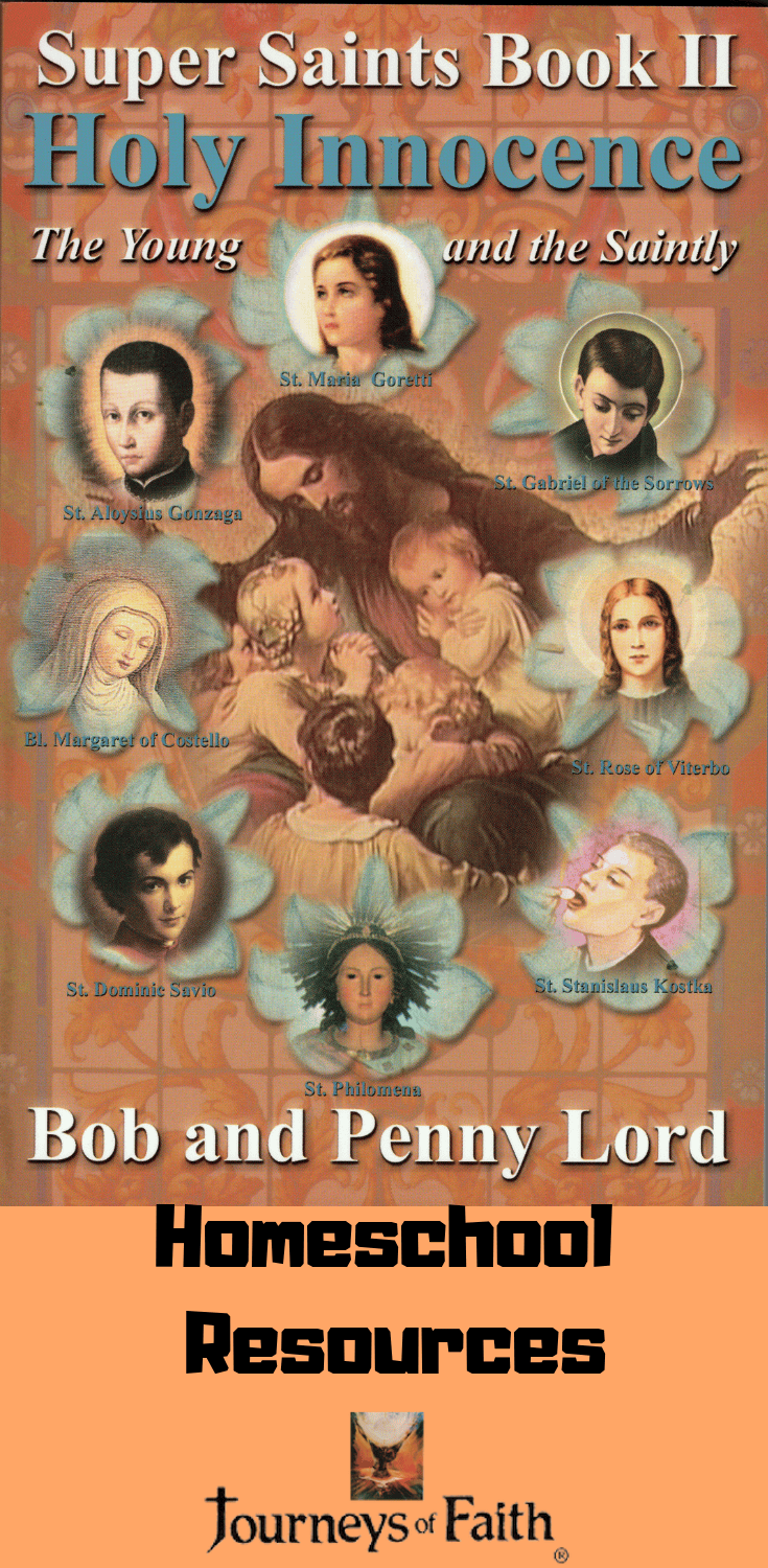 Set of nine books on saints from Bob and Penny Lord, featuring colorful covers and religious illustrations in a homeschool resource bundle.