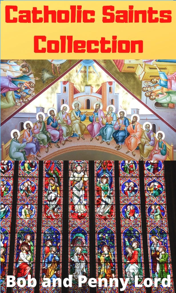 Catholic Saints DVD bundle featuring 81 DVDs from Bob and Penny Lord Ministry, showcasing religious saints and spiritual stories.