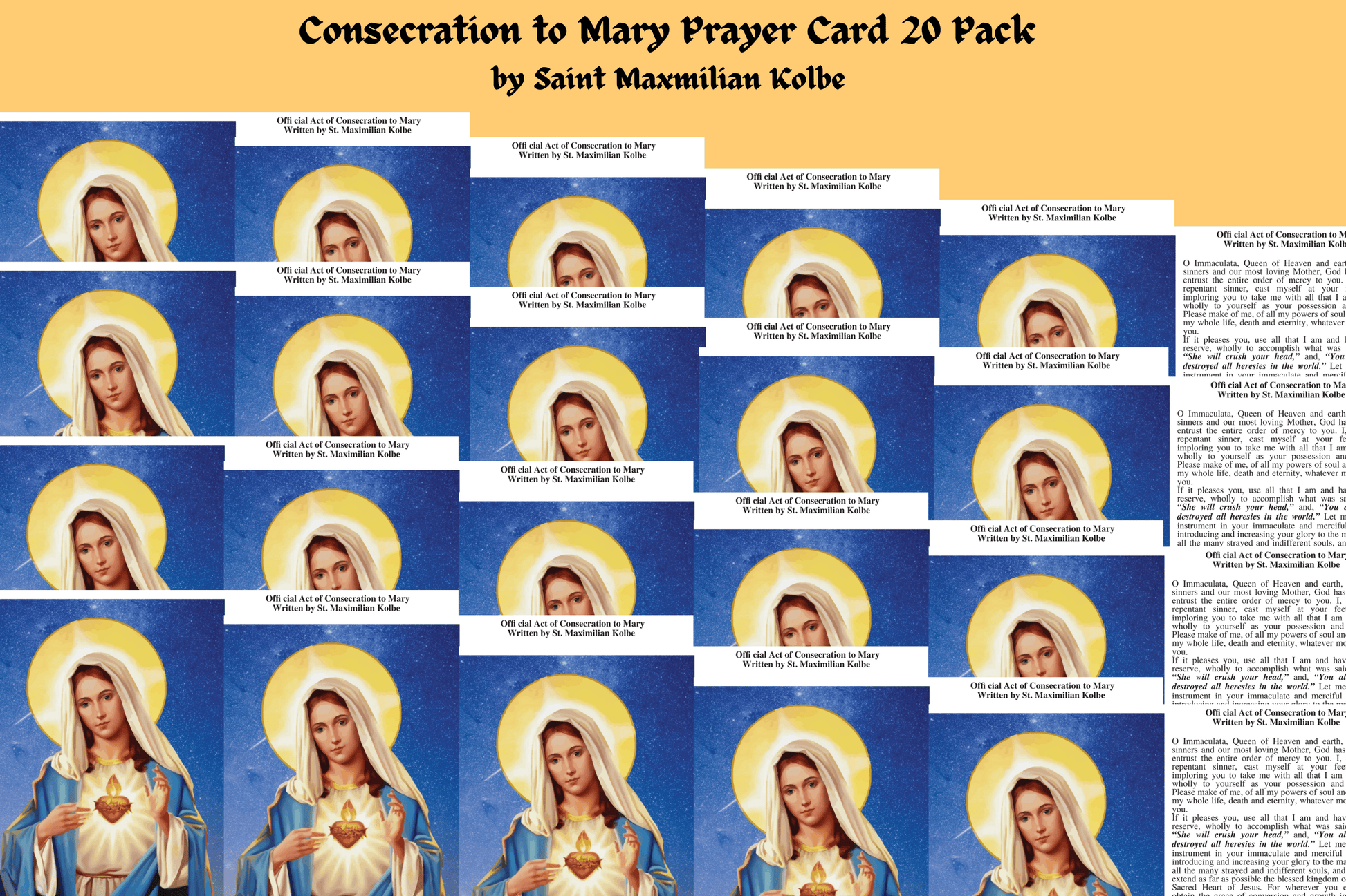 Set of 20 Mary Mother prayer cards by Bob and Penny Lord Ministry featuring religious images and prayer inscriptions.
