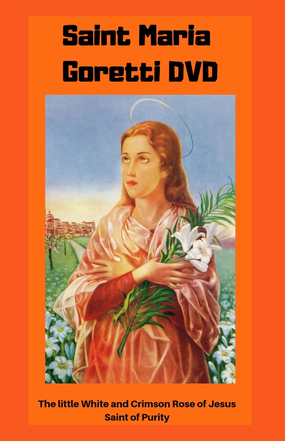 Holy Innocence Patron Saints of Youth DVD bundle by Bob and Penny Lord, featuring two religious DVD cases with saint images.