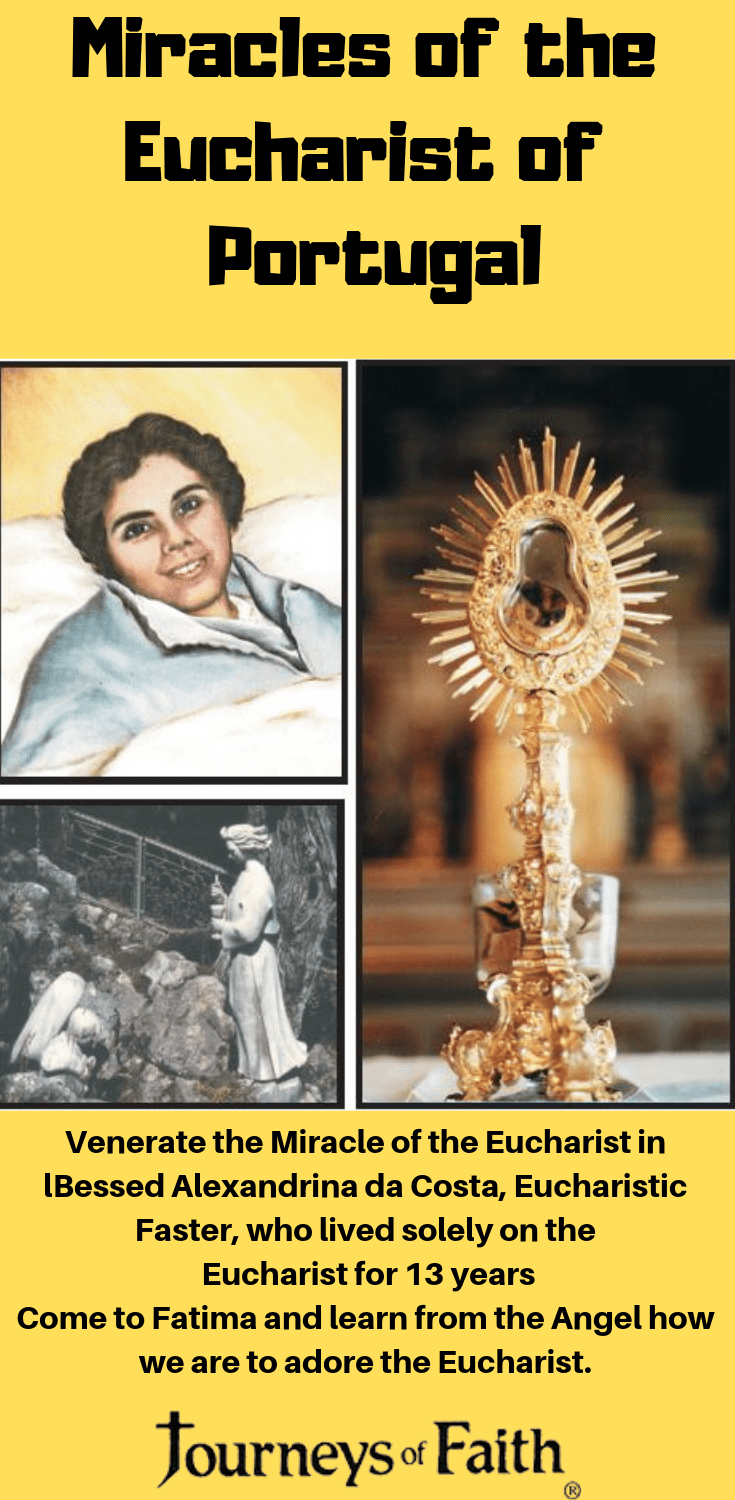 Paperback book titled "Miracles of the Eucharist Book I" by Bob and Penny Lord, featuring a cover with religious imagery.