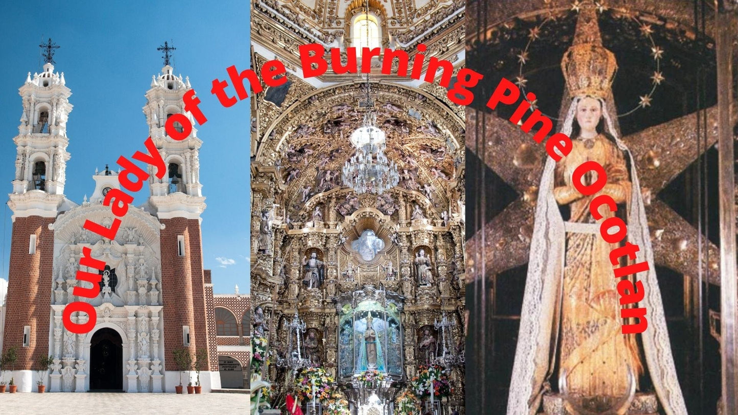 Espanol Nuestra Senora de Ocotlan statue by Bob and Penny Lord Ministry, detailed image of the Virgin Mary figure.