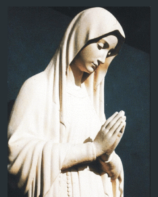 8x10 print of Our Lady of Banneux by Bob and Penny Lord, religious poster depicting the Virgin Mary in a serene scene