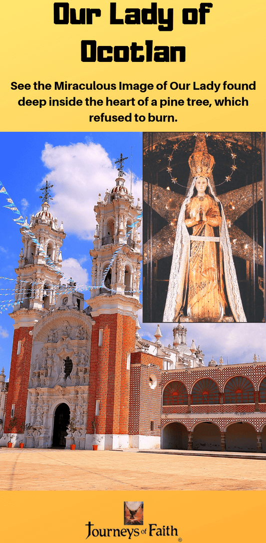 DVD of Our Lady of Ocotlán by Bob and Penny Lord, showing the religious DVD cover artwork featuring the Virgin Mary.
