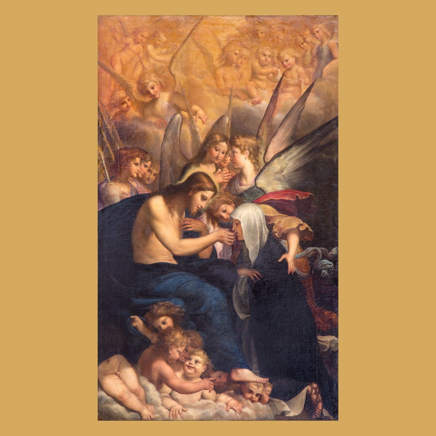 Saint Catherine of Bologna DVD by Bob and Penny Lord showing the DVD case with religious artwork and title on the cover.