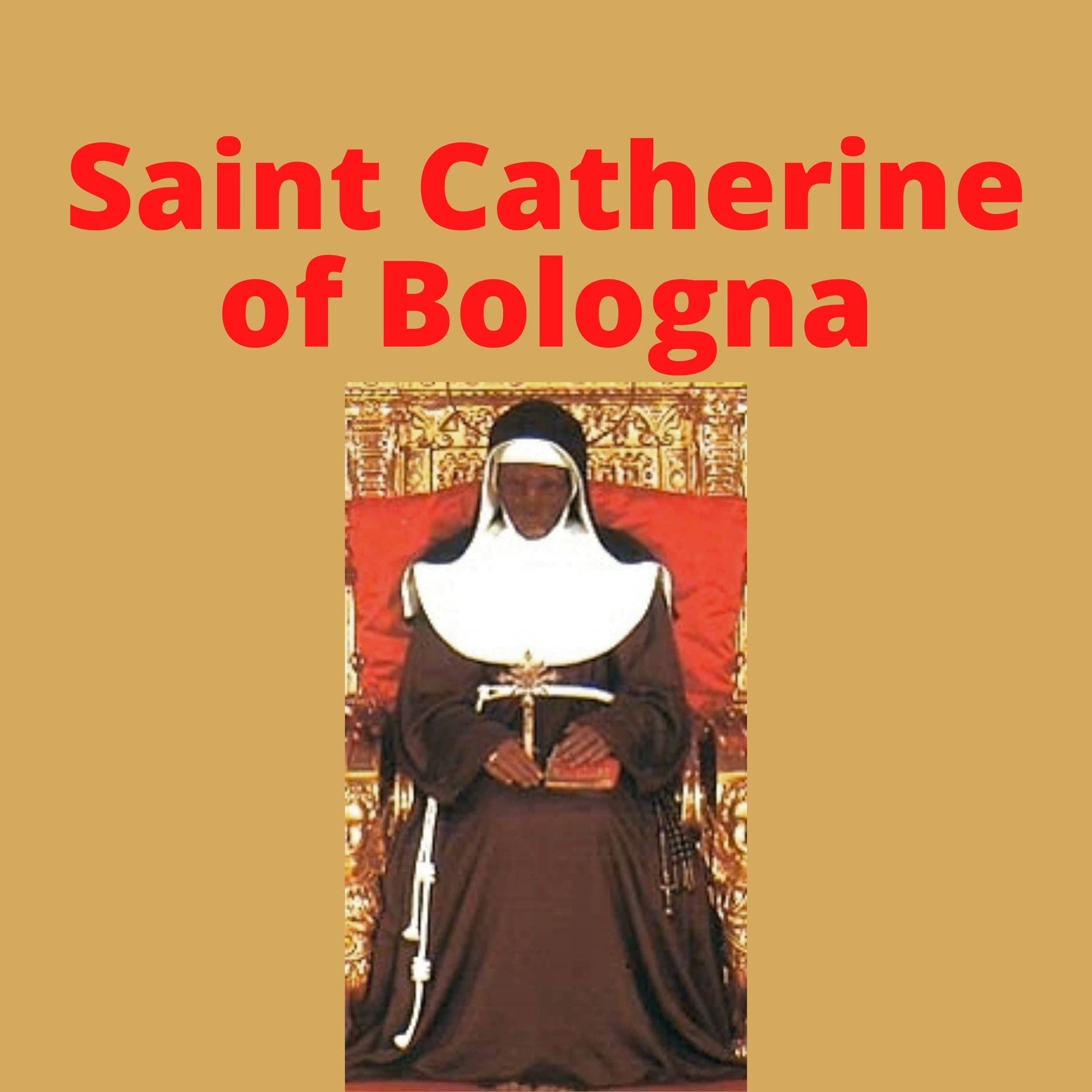Saint Catherine of Bologna DVD by Bob and Penny Lord, showing the DVD case with religious artwork and title.