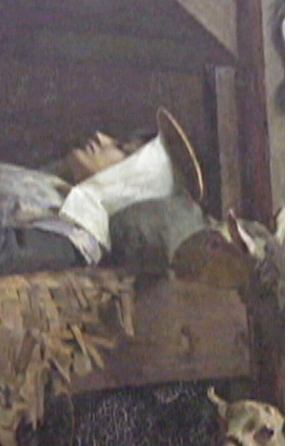 Saint Germaine de Pibrac DVD from Bob and Penny Lord Ministry, featuring a cover image with religious artwork and title.
