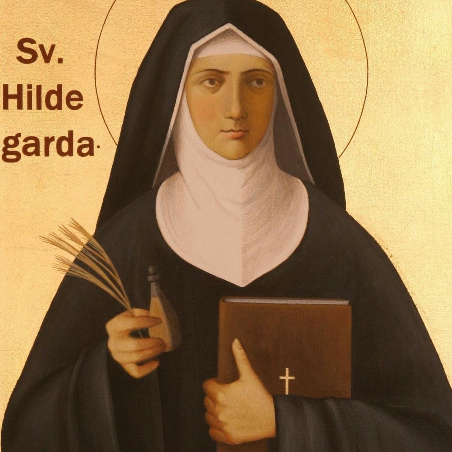 Saint Hildegard of Bingen DVD by Bob and Penny Lord Ministry, featuring a cover image with a portrait of Saint Hildegard in medieval attire.