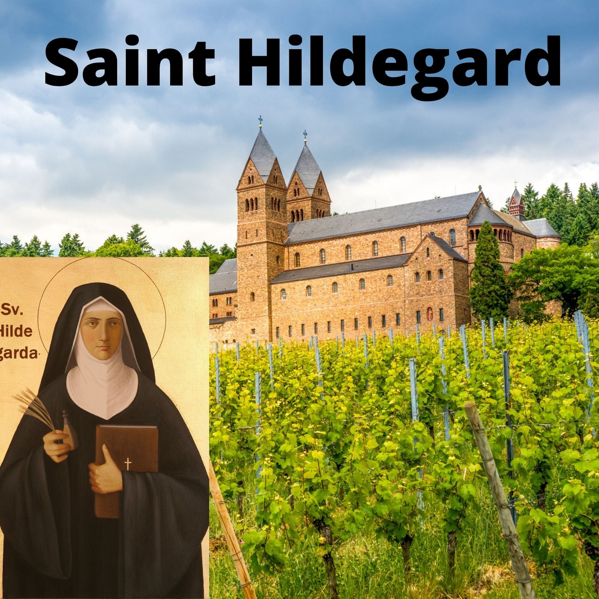 Saint Hildegard of Bingen DVD by Bob and Penny Lord Ministry featuring a cover image with religious artwork and DVD case.