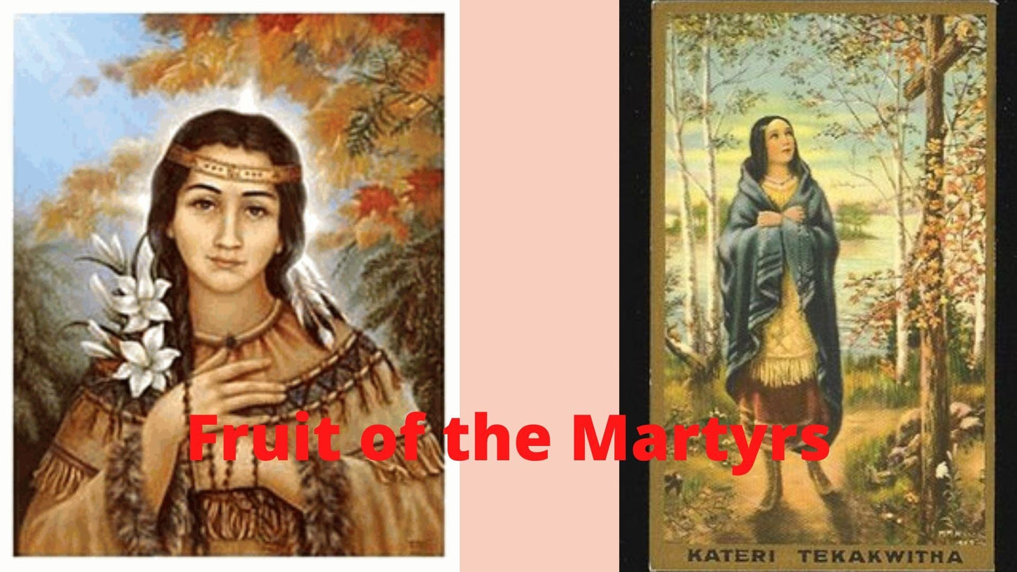 Saint Kateri Tekakwitha DVD by Bob and Penny Lord, featuring cover art with religious imagery and a clear DVD case.