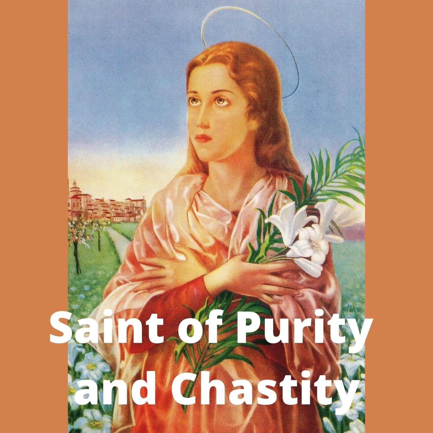 Saint Maria Goretti DVD by Bob and Penny Lord, featuring a cover image with religious artwork and DVD case.