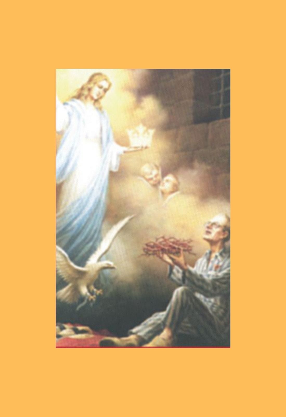 DVD cover for Saint Maximilian Kolbe, Martyr of Auschwitz, by Bob and Penny Lord, featuring religious imagery and title text.