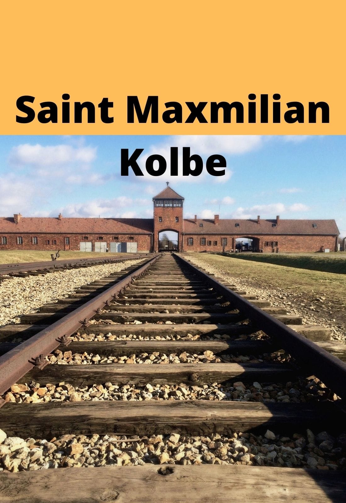 DVD of Saint Maximilian Kolbe, Martyr of Auschwitz, featuring cover art with religious imagery and title from Bob and Penny Lord.