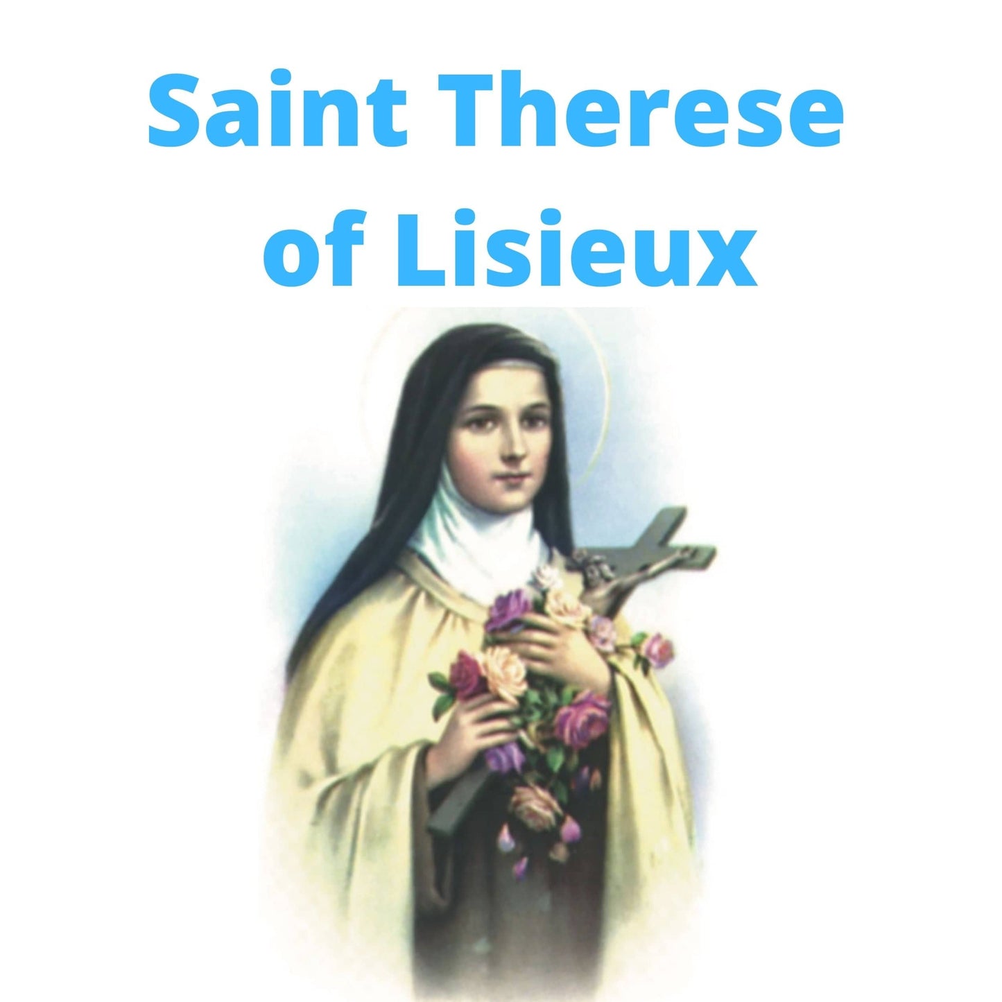 Saint Therese of Lisieux DVD by Bob and Penny Lord, showing the DVD case with religious artwork and title.