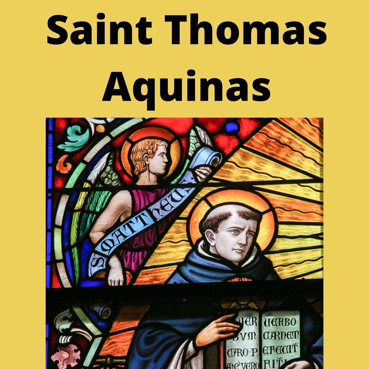 Saint Thomas Aquinas DVD by Bob and Penny Lord, featuring a cover image with religious artwork and the DVD case.
