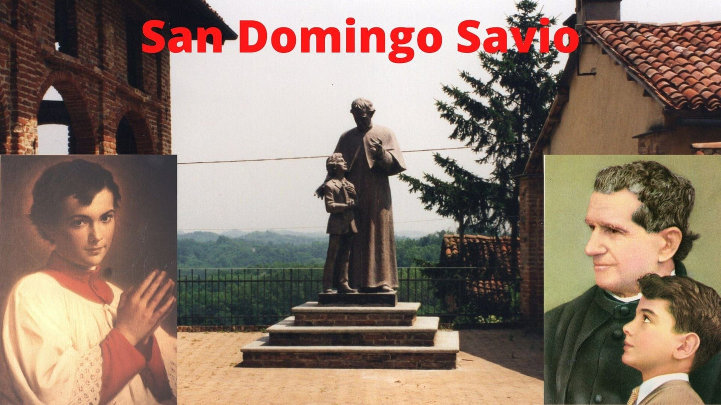 Santo Domingo Savio DVD in Spanish by Bob and Penny Lord Ministry, showing the DVD case with religious imagery and title.