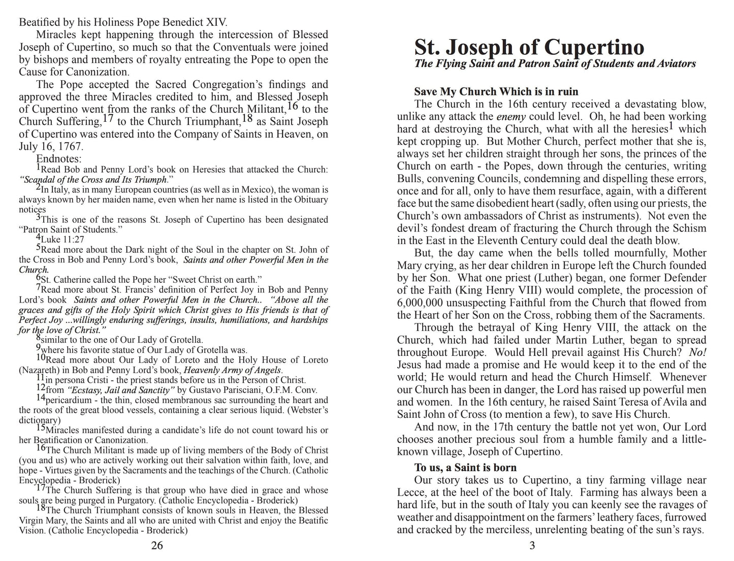 St. Joseph Student Minibook by Bob and Penny Lord showing a small, illustrated booklet with religious content and colorful cover.