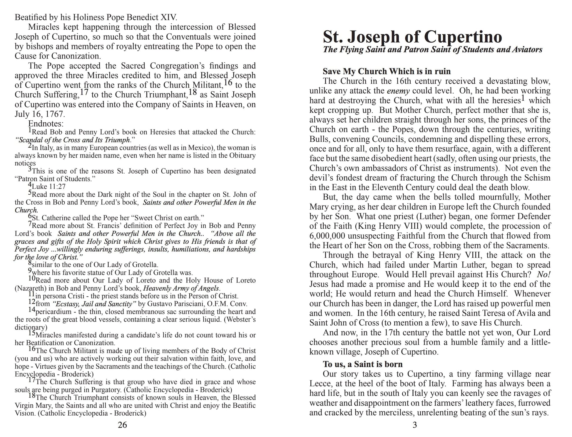 St. Joseph Student Minibook by Bob and Penny Lord showing a small, illustrated booklet with religious content and colorful cover.