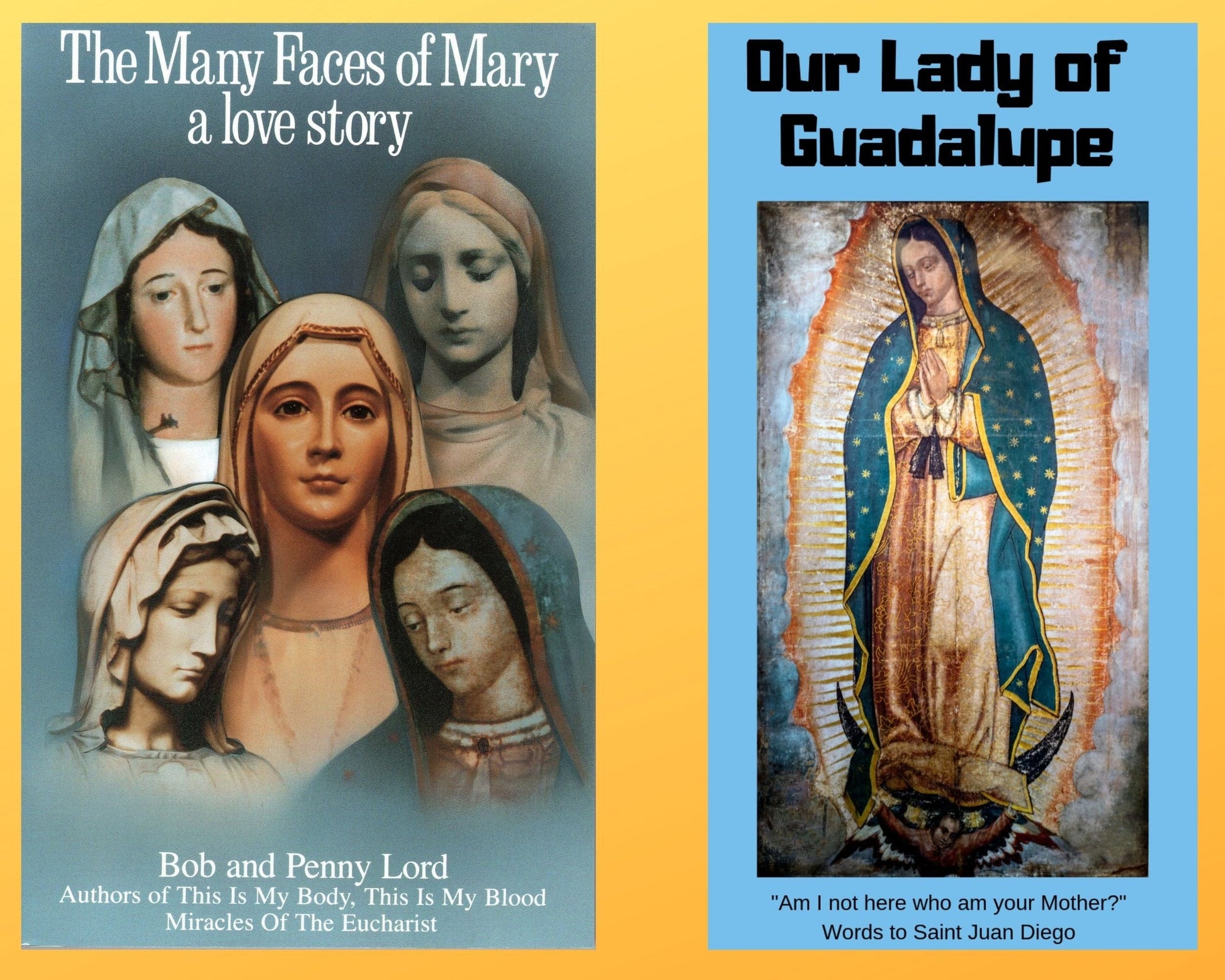 The Many Faces of Mary book and Our Lady of Guadalupe DVD combo by Bob and Penny Lord Ministry, featuring religious images and text.